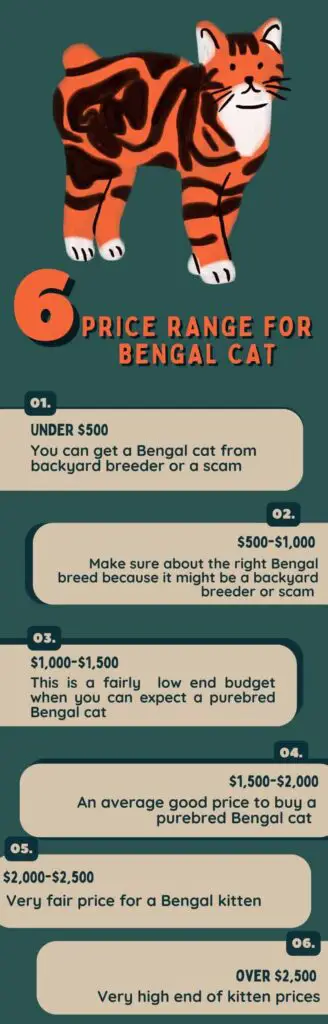 Price range for BENGAL CAT