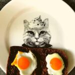 CAN CATS EAT EGGS