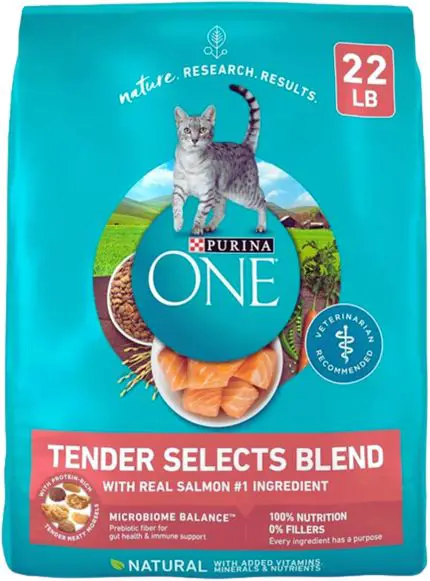 Purina ONE Natural Dry Cat Food