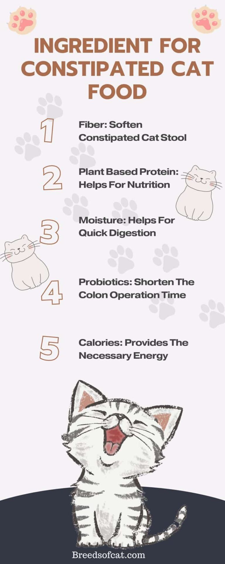 Best dry cat food to prevent constipation Breeds of Cat