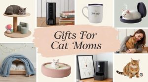 Gifts for Cat Moms