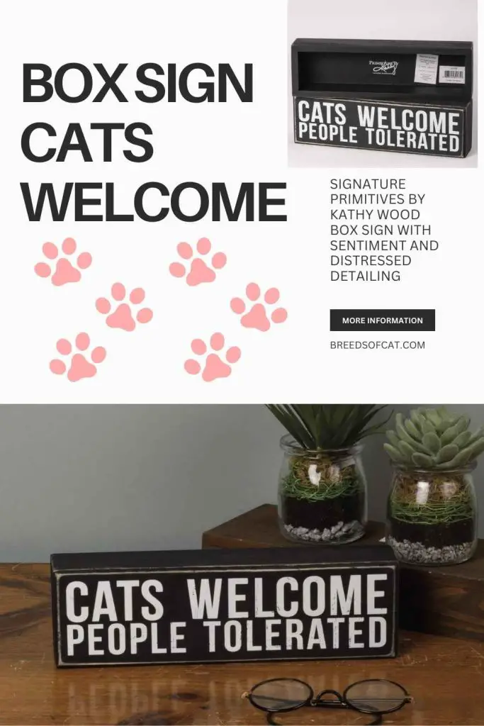 Box Sign Cats Welcome