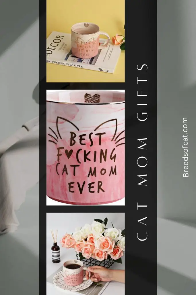 Cat Mom Gifts