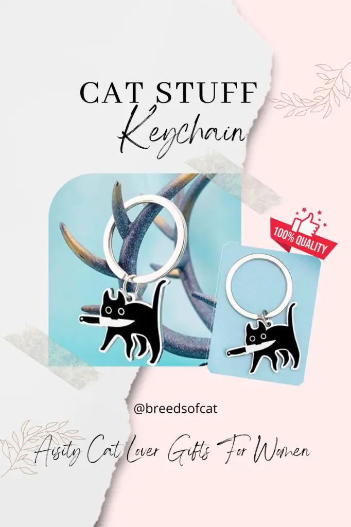 Cat Stuff