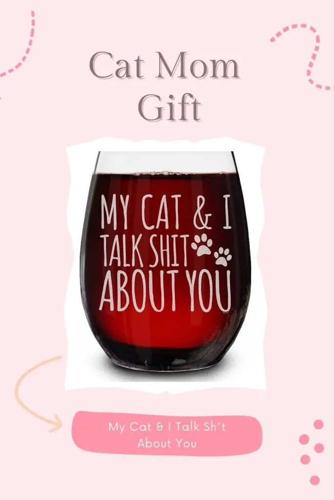 My Cat & I Talk Sht About You