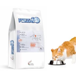 Best Cat Food for Autoimmune Disease