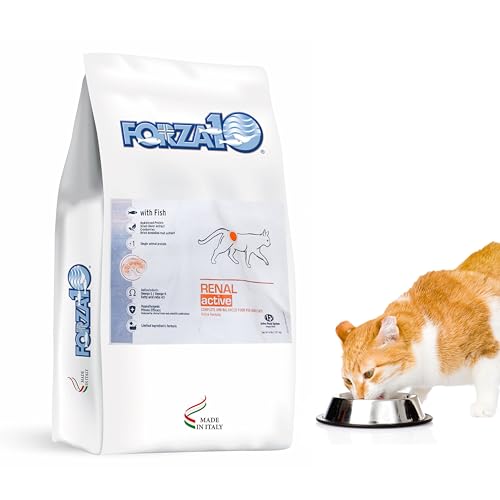 Best Cat Food for Autoimmune Disease