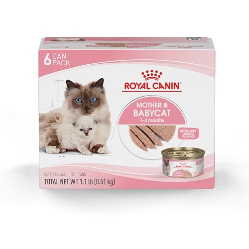 Best Cat Food for Nursing Cats