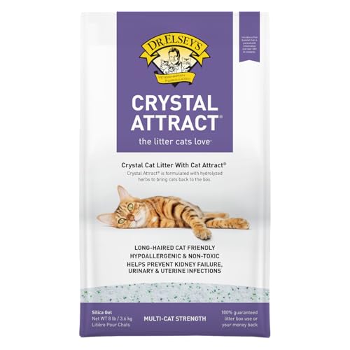 Best Cat Litter for Long Haired Cats