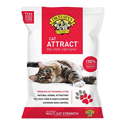 Best Cat Litter for Picky Cats