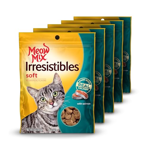 Best Food for Cats With No Teeth
