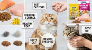 Best Cat Food for Shedding Control
