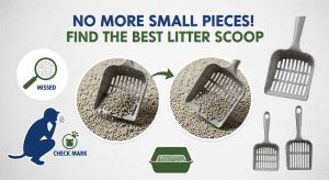 Best Cat Litter Scoop for Small Pieces