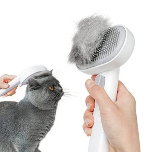 Best Brush for Maine Coon Cats