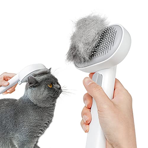 Best Brush for Maine Coon Cats