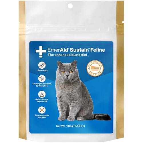 Best Cat Food for Recovery