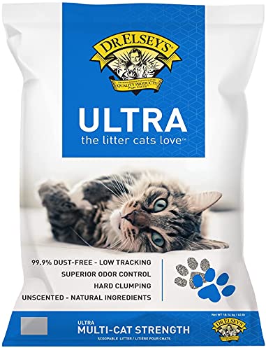 Best Cat Litter for Absorbing Moisture