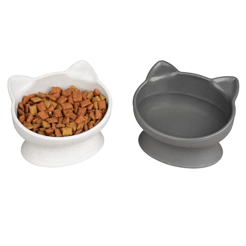 Best Food Bowl for Cat With Cone