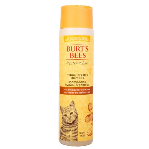 Best Shampoo for Maine Coon Cats