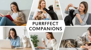 Why Do Single Women Have More Cats?