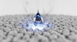 Best Cat Litter for Absorbing Moisture