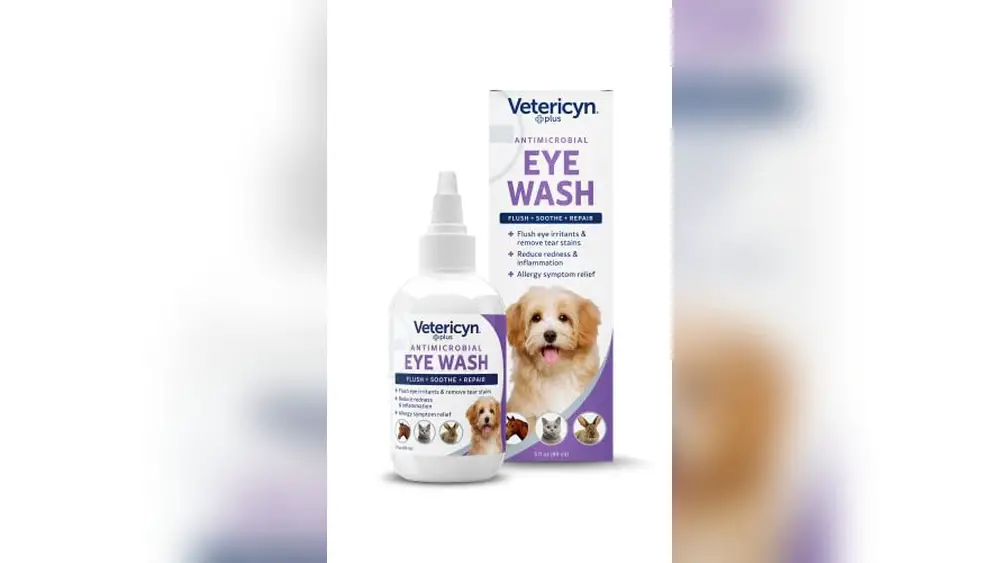 Anti Bacterial Eye Drops for Cats