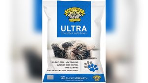 Best Cat Litter for Sphynx Cats