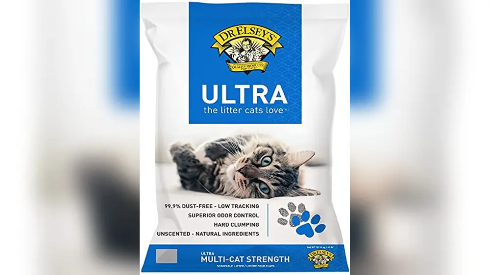 Best Cat Litter for Sphynx Cats