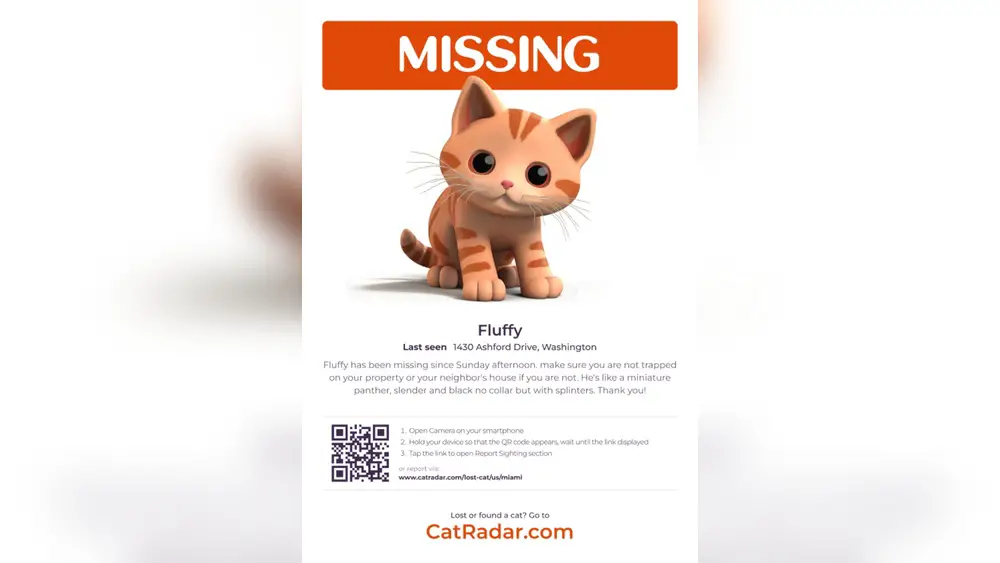 Chances of Finding Lost Cat After 24 Hours