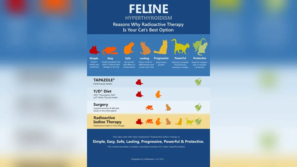 Natural Remedies for Overactive Thyroid in Cats