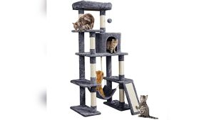 Tall Cat Trees for Large Cats