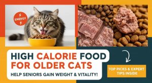 High Calorie Cat Food for Older Cats