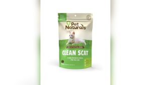 Best Cat Food for Smelly Poop