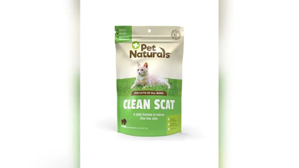Best Cat Food for Smelly Poop