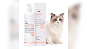 Best Shampoo for Long Hair Cats