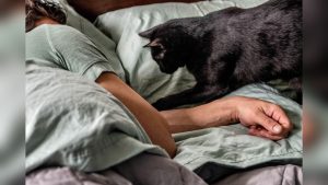 Cat Keeps Waking Me Up at Night