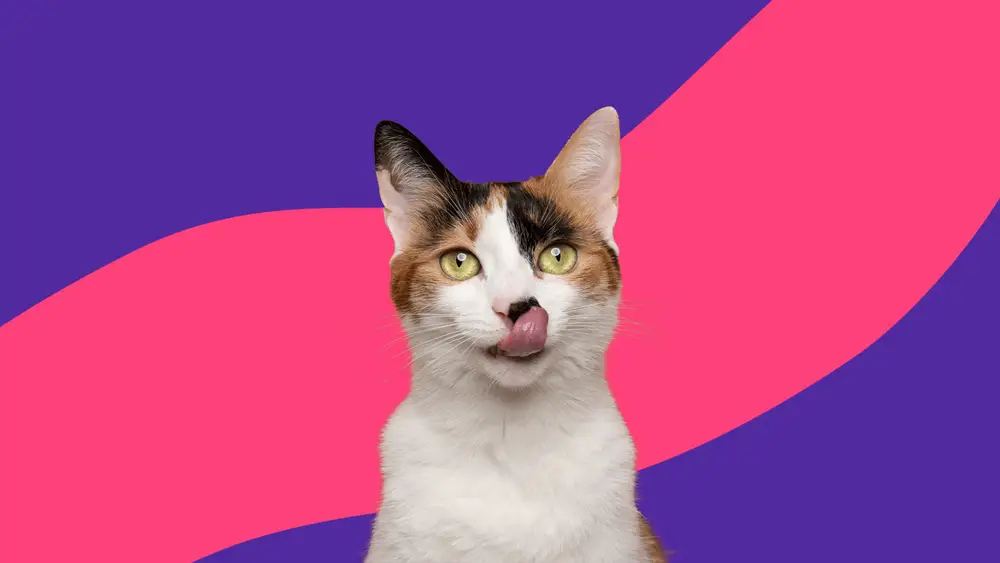 Fluoxetine for Cats Dosage Chart by Weight