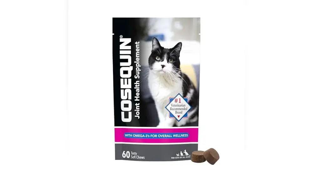 Best Supplements for Senior Cats